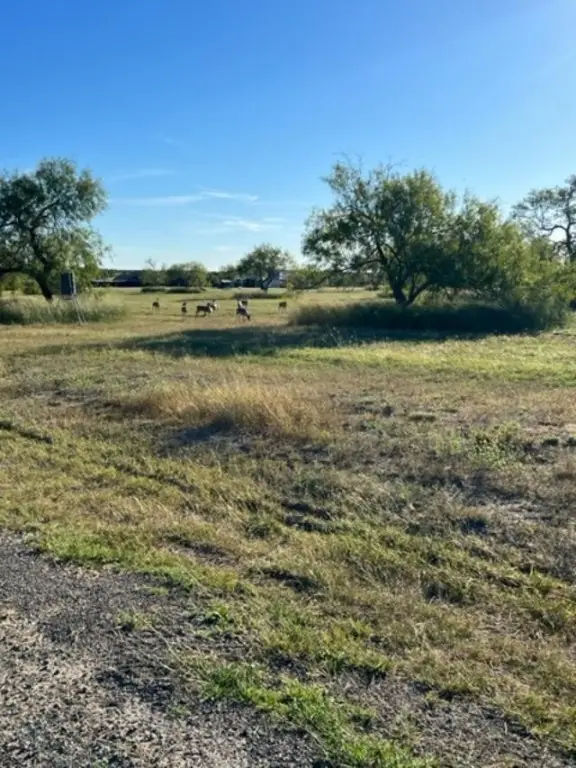 Lot 20 Nakishwana Circle #VIII, Sandia, TX 78383 - Image #1