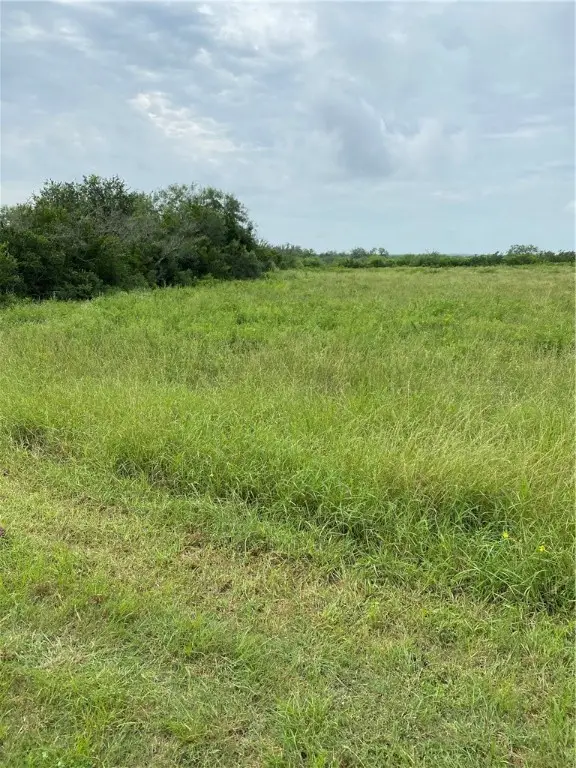 3088 Cr 3088, Orange Grove, TX 78372 - Image #3