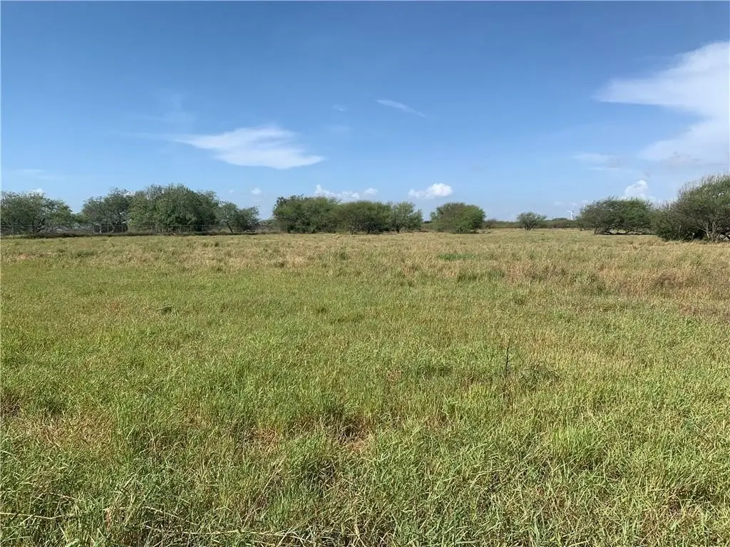 003 County Rd 3667, Portland Gregory, TX 78359 - Image #1