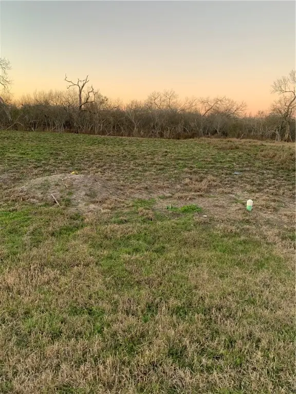 203 E St. Mary's, Skidmore, TX 78389 - Image #1