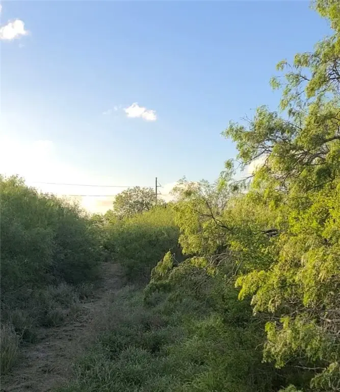 4630 S Hwy 77 Highway, Kingsville, TX 78363 - Image #2