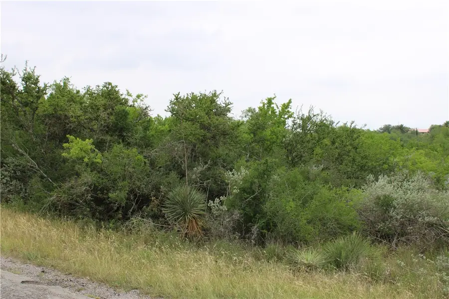00 Cenesia Dr, Sandia, TX 78383 - Image #3
