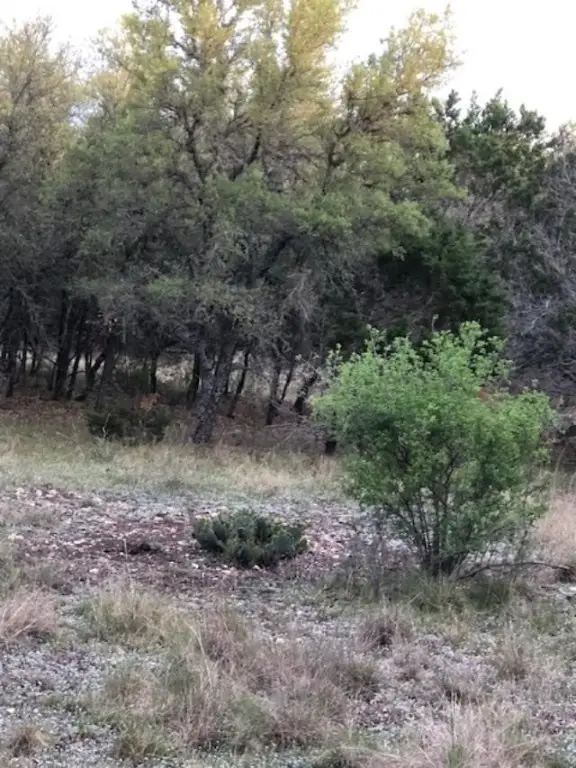 40 EF Whitetail Run, Uvalde, TX 78801 - Image #2