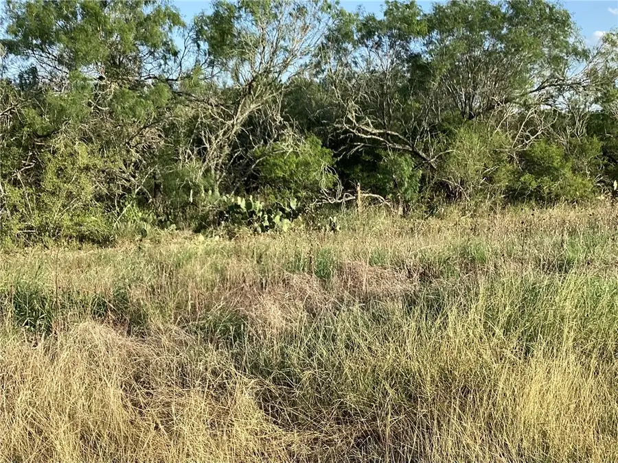 190 Santos Rd, Realitos, TX 78376 - Image #3