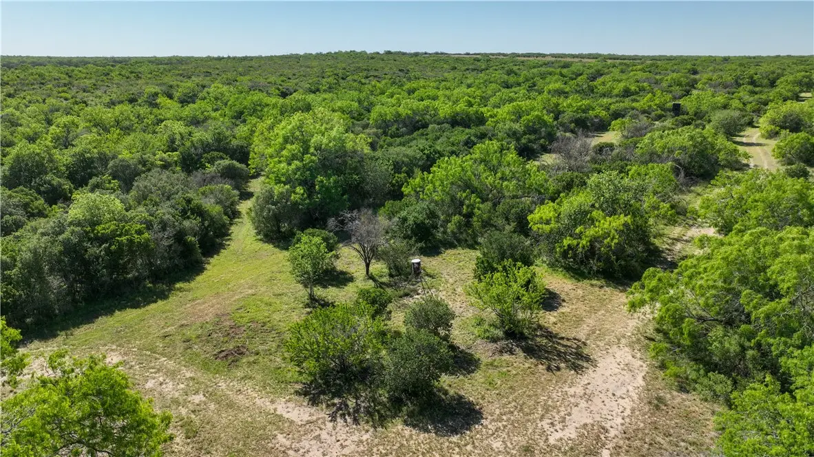 48AC County Road 114, George West, TX 78022 - Image #1