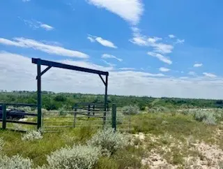 391 Hidden Creek, Orange Grove, TX 78372