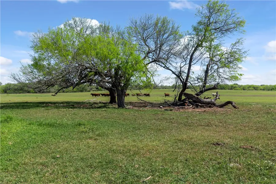 00 E County Road 2140, Kingsville, TX 78363 - Image #3