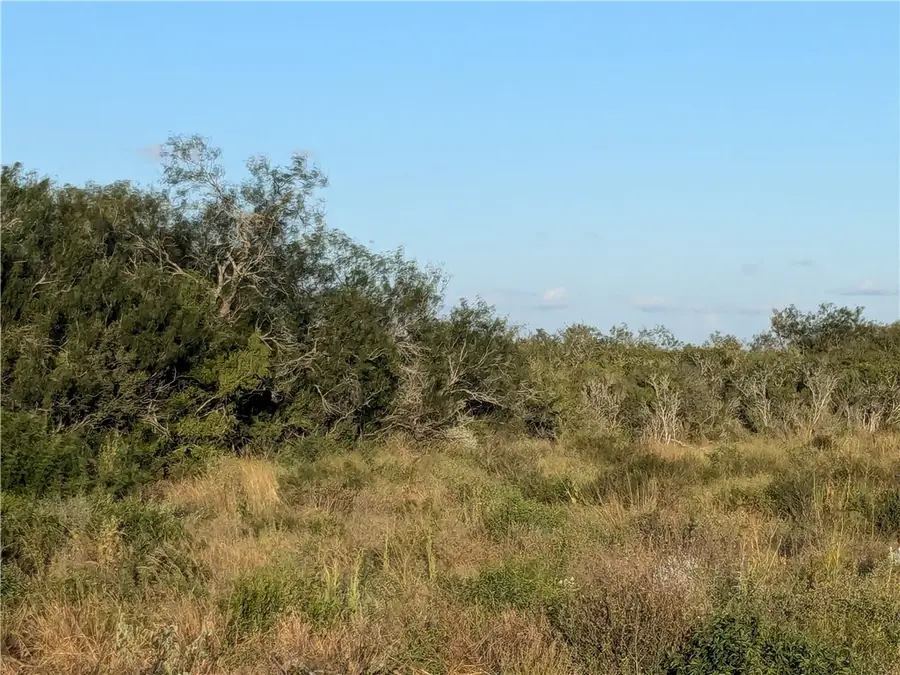 0 0, San Diego, TX 78384 - Image #2