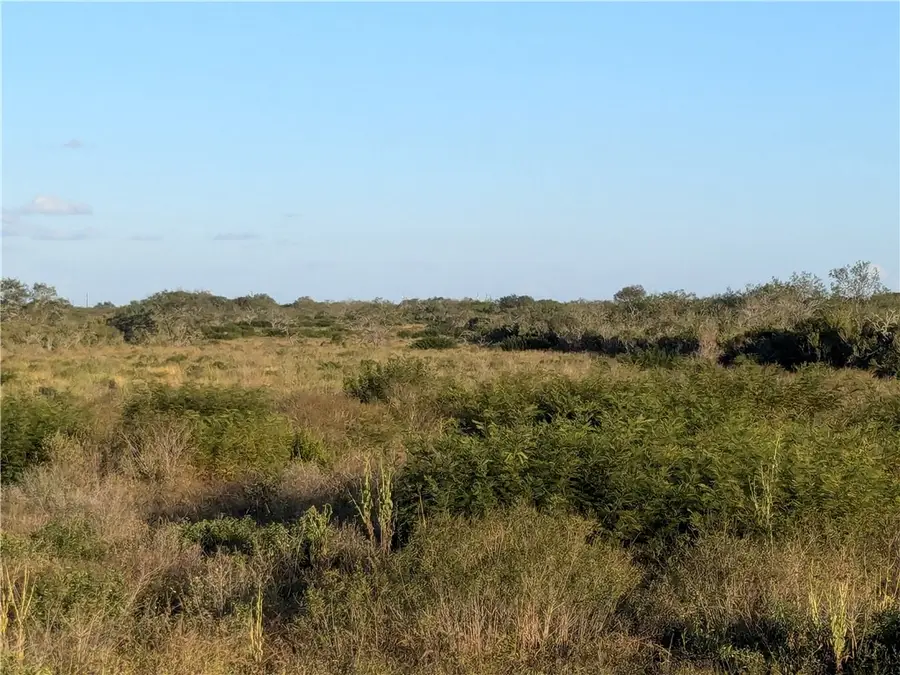 0 0, San Diego, TX 78384 - Image #3