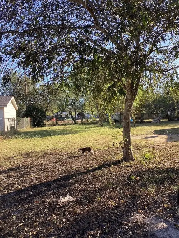 430 Virginia Street, Alice, TX 78332 - Image #2