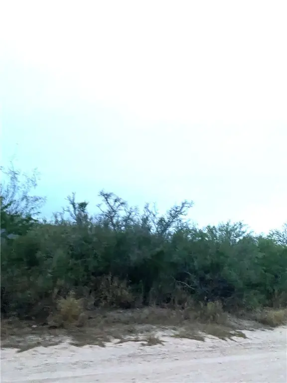 0 Cr 205--22.22 Acres(+/-), San Diego, TX 78384 - Image #1