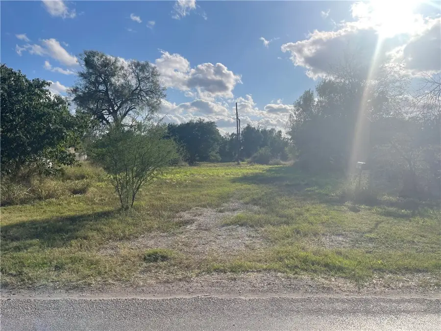 310 & 308 W 4th Street, Bishop, TX 78343 - Image #2