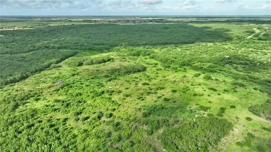 0 W County Road 2170, Kingsville, TX 78363 - Image #3