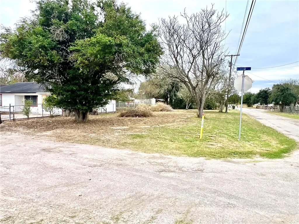 0 Elbano Street, Alice, TX 78332 - Image #1