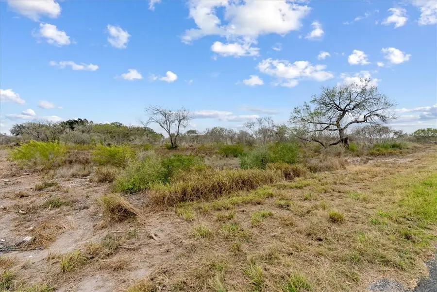 000 Quail Ridge Run, Three Rivers, TX 78071 - Image #2