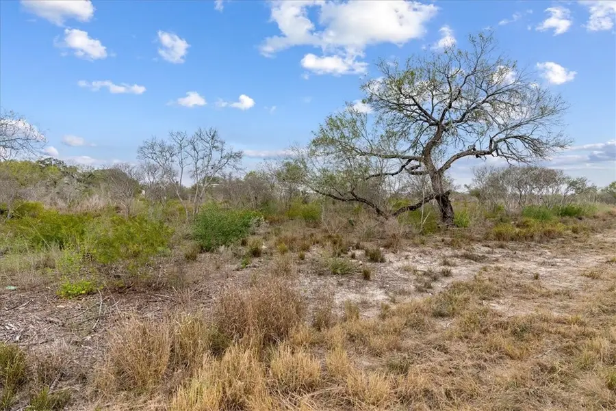000 Quail Ridge Run, Three Rivers, TX 78071 - Image #3