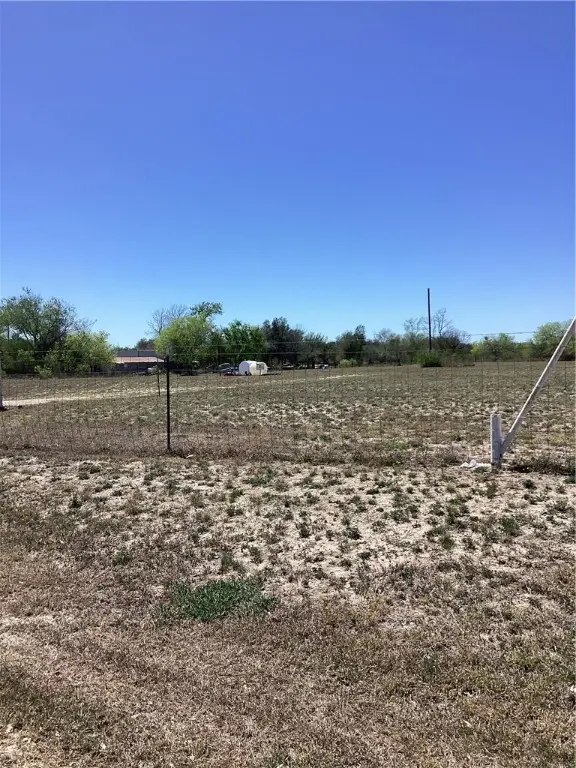 930 Cty Rd 407, Freer, TX 78357