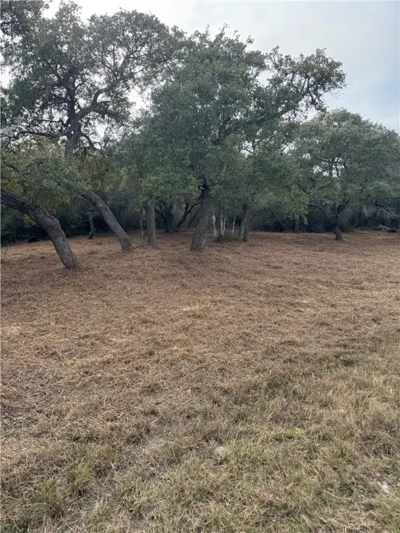 1827 4th Street, Ingleside, TX 78362 - #3