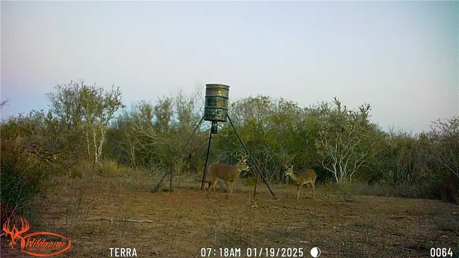 1338 Tx-359, San Diego, TX 78384 - Image #2