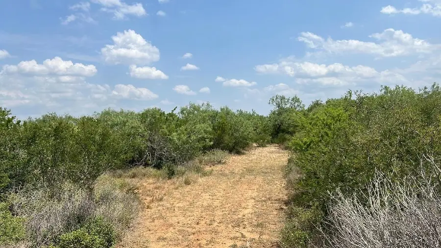 1338 Tx-359, San Diego, TX 78384 - Image #3