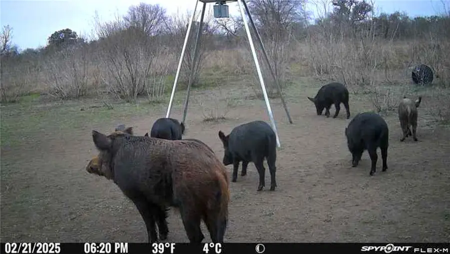 00 King Ln, Beeville, TX 78102 - Image #3