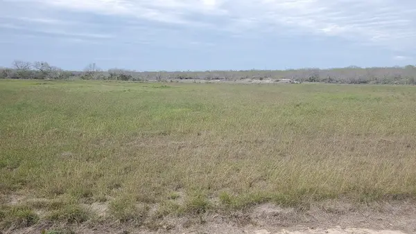 Lot 2 T-head Drive, Riviera, TX 78379