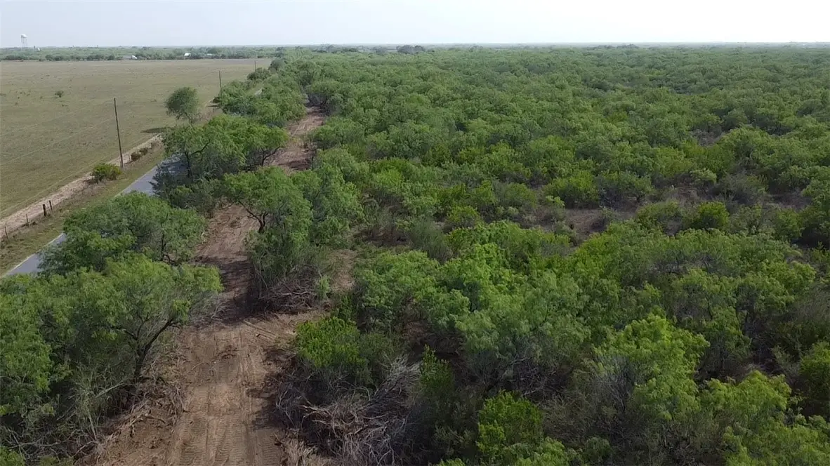 231 County Road, Falfurrias, TX 78355 - Image #1