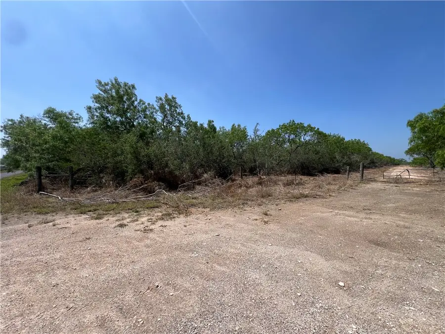 231 County Road, Falfurrias, TX 78355 - Image #3