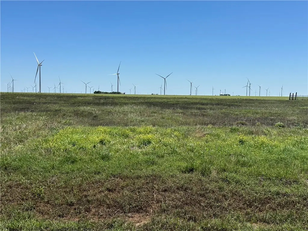 20331 County Road 796, Tynan, TX 78391 - Image #1