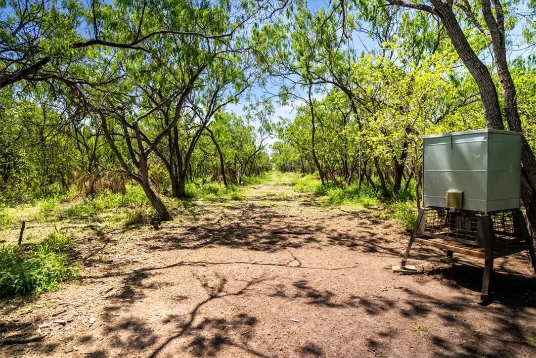 000 Cr 175, Sandia, TX 78383 - Image #1