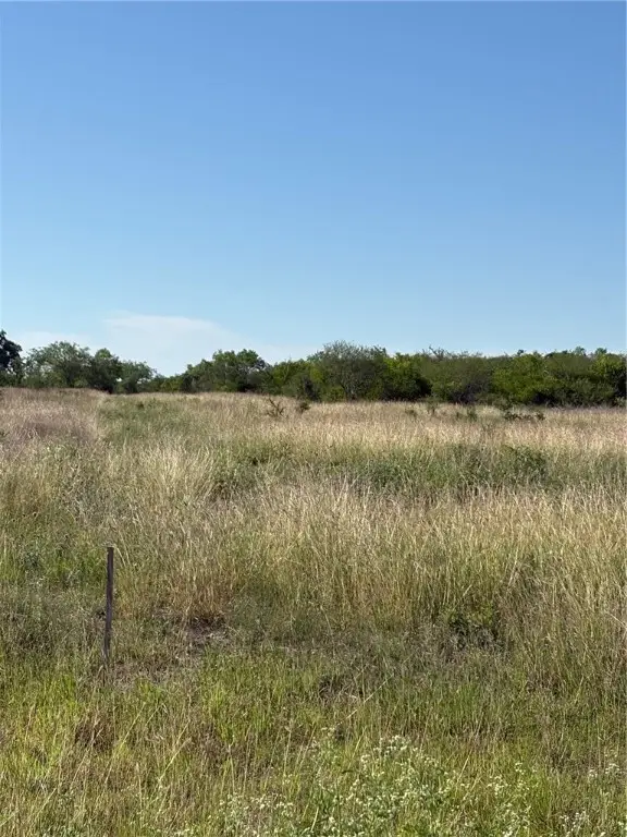 117 Paisano Trail, Beeville, TX 78102 - Image #3