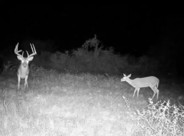 Tract 19 Spur 14, San Diego, TX 78332 - Image #2