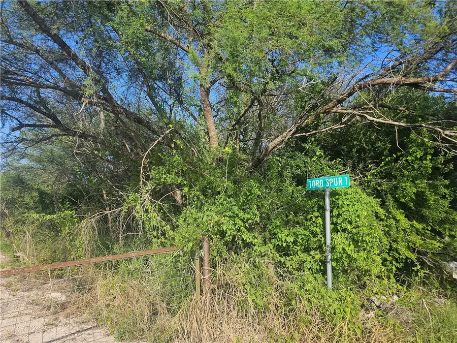 1 Toro Spur, San Diego, TX 78384 - Image #3