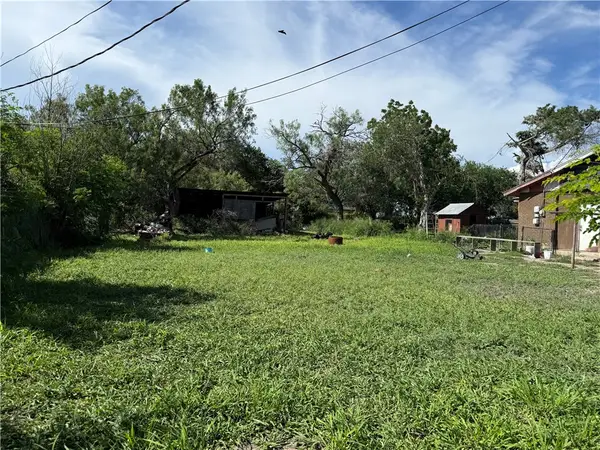 TBA Farm Street, Alice, TX 78332