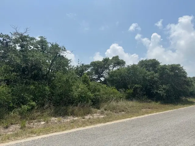 0000 Pace Avenue, Ingleside, TX 78362 - Image #1