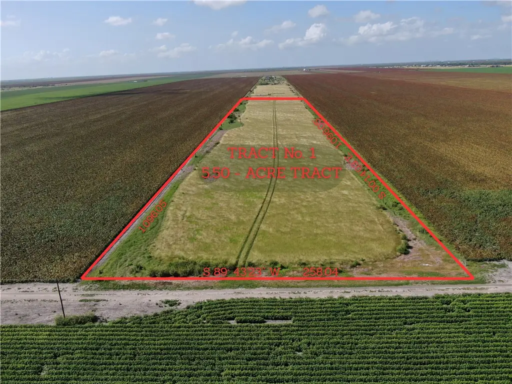 0 County Road 22, Tract 1, Robstown, TX 78380 - Image #1
