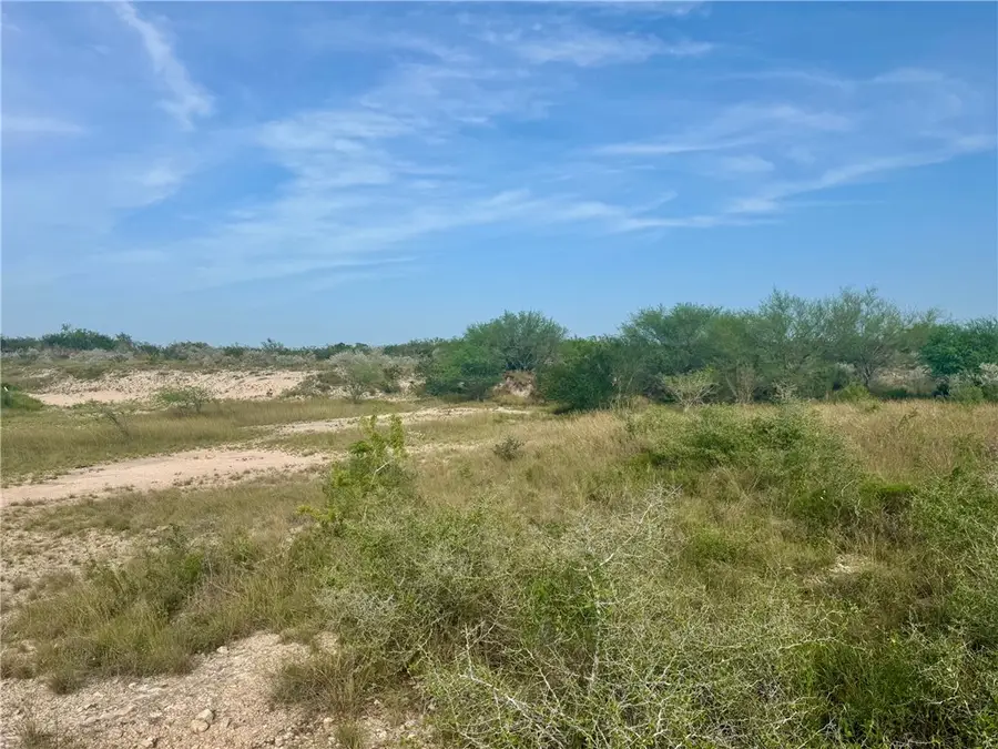 000 County Rd 335, San Diego, TX 78384 - Image #2