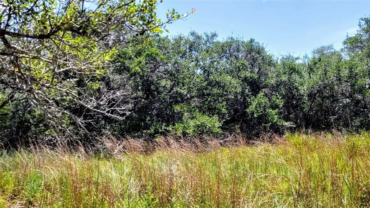 0 Proposed Hwy 35, Rockport, TX 78382 - Image #1