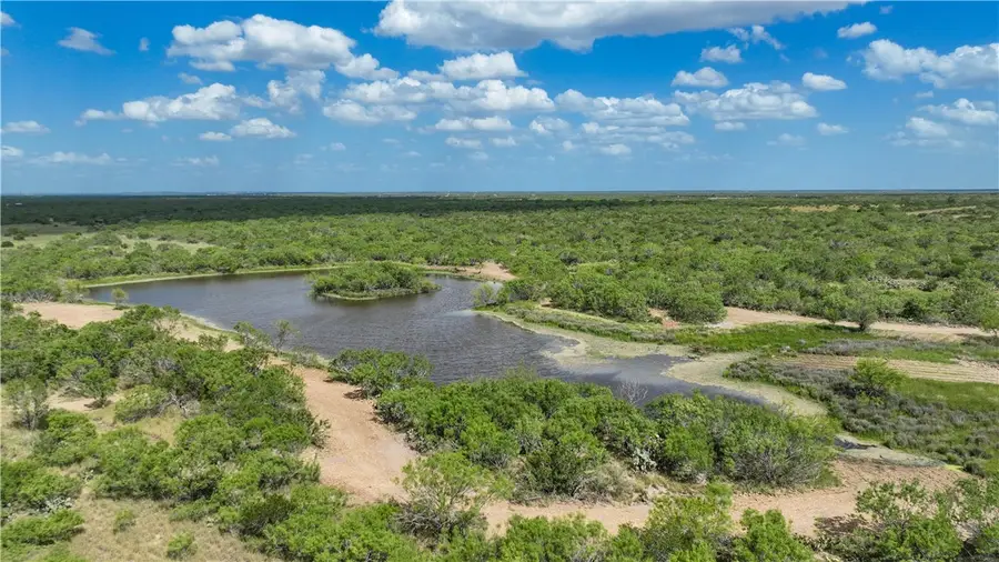 0 Cameron Ln- 100 Acres, Fowlerton, TX 78021 - Image #3