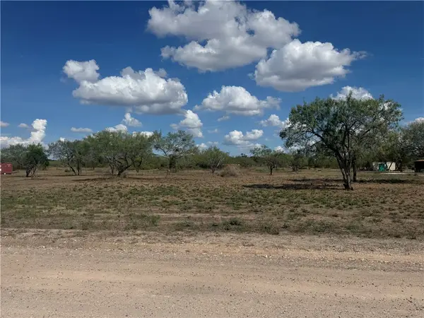 197 County Road 1171, Alice, TX 78332
