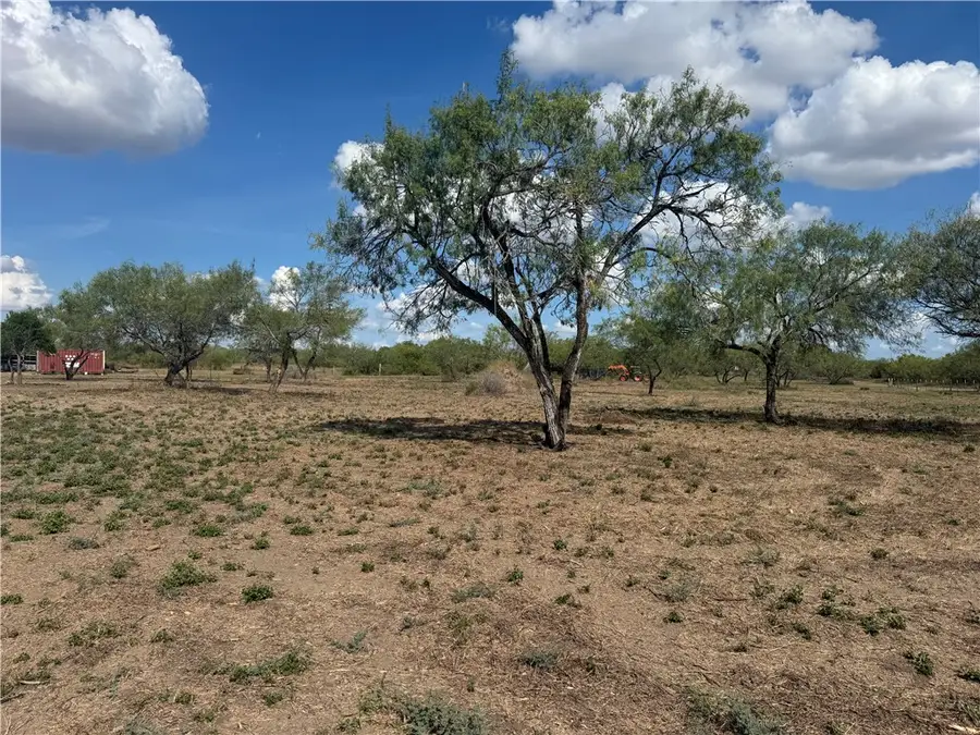 197 County Road 1171, Alice, TX 78332 - Image #3