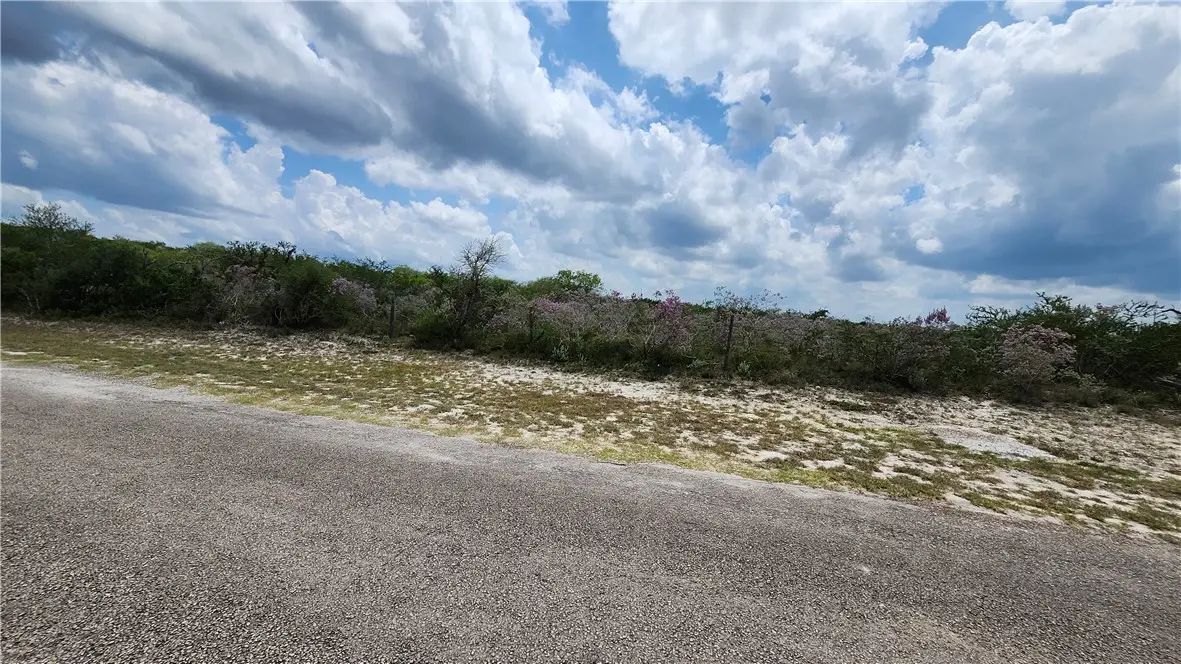 15 County Road 372, Sandia, TX 78383 - Image #1