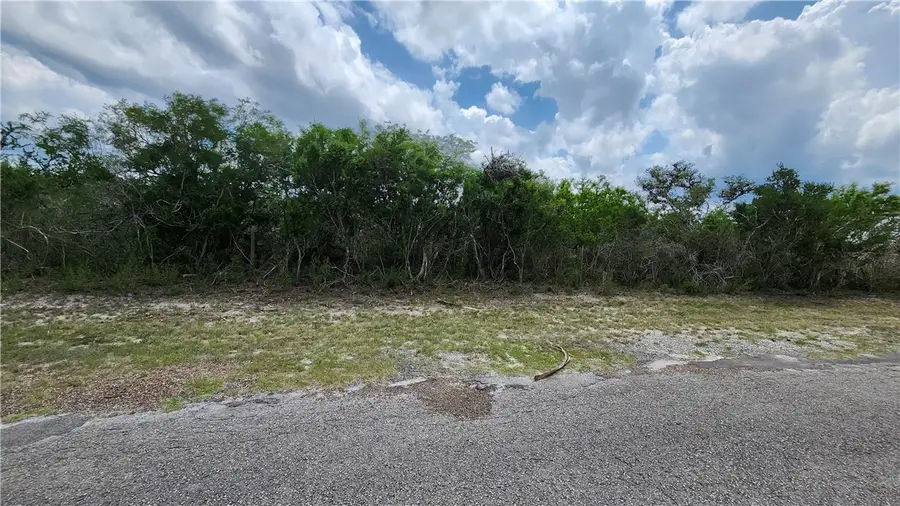 16 County Road 372, Sandia, TX 78383 - Image #2