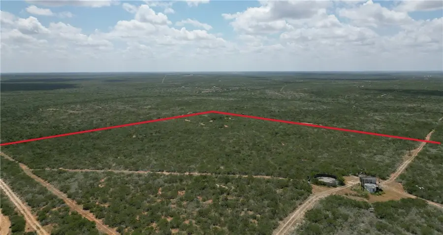 TR 47 TR 48 Frontier Land Co Subd, Freer, TX 78357 - Image #2