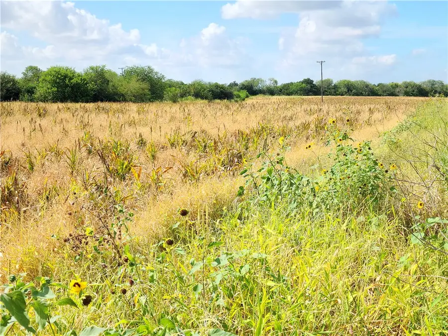 00 County Road 2095, Odem, TX 78370 - #2