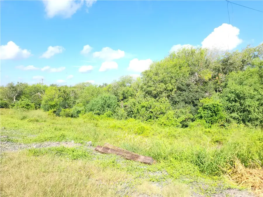 00 County Road 2095, Odem, TX 78370 - #3