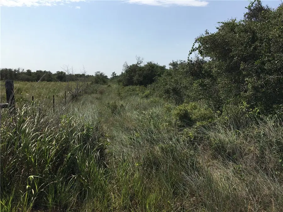 2011 Smith Road, Aransas Pass, TX 78336 - #2