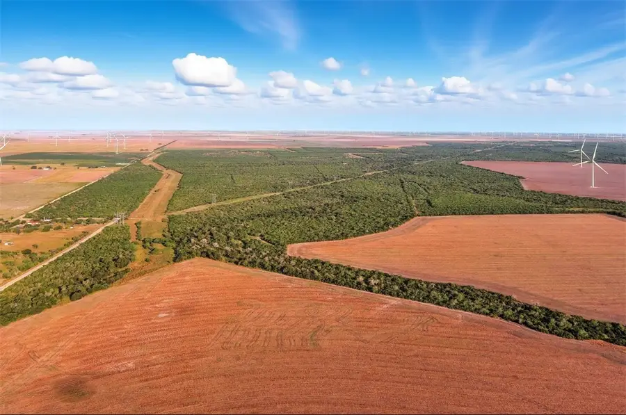 21316 County Rd 798, Mathis, TX 78389 - Image #3