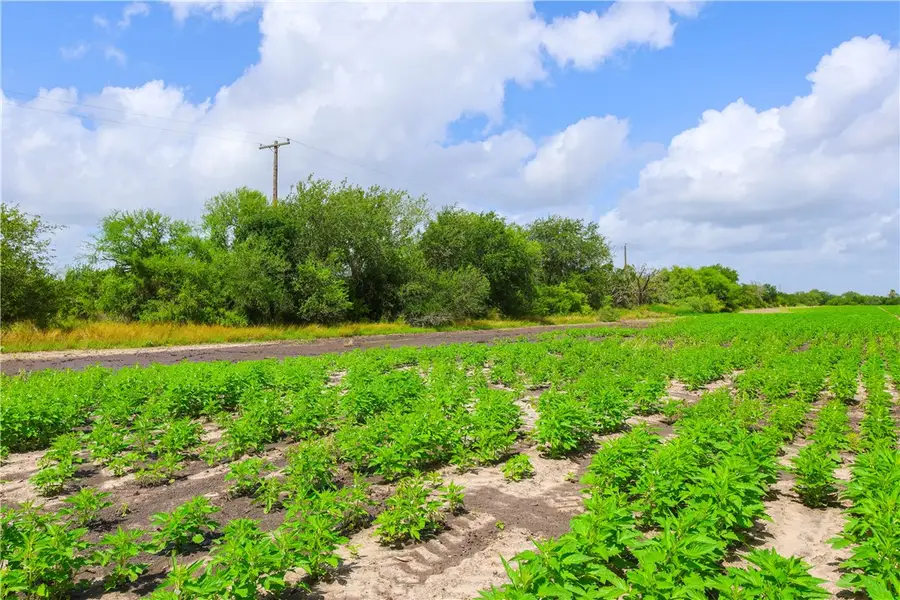 TBD N Hwy 281, Alice, TX 78332 - Image #3