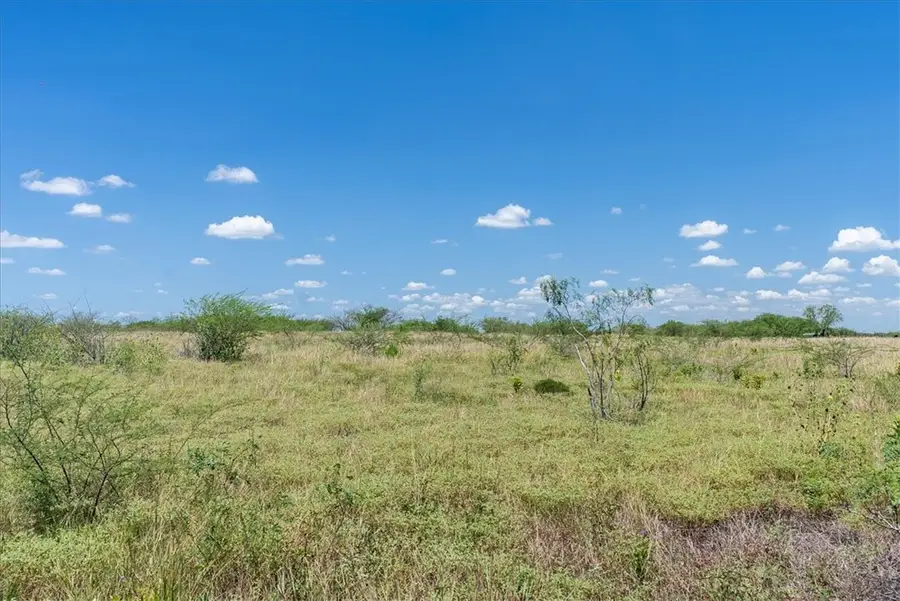 253 County Road 222, Orange Grove, TX 78372 - Image #3